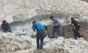 Bolkarlar'ın karı geçim kaynağı oldu