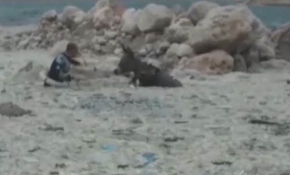 5 gün kurtarılmayı bekledi