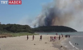 Gelibolu Yarımadası'nda orman yangını