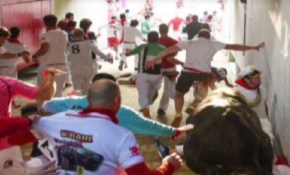 Boğanın boynuzundan inanılmaz kurtuluş