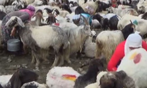 Berivan olmak zor bir iş