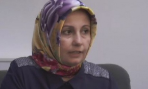 Askeri araca binen anne, darbeci askerleri durdurdu