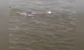 FETÖ/PDY’ye ait çok sayıda kitap, Murat Nehri'ne atıldı