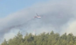 Seferihisar'da orman yangını