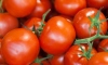 'Domates fiyatındaki artış geçici bir durum'