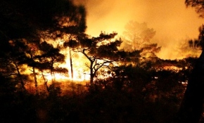 Kazdağları’nda orman yangını