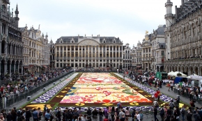 Brüksel'de çiçek halı