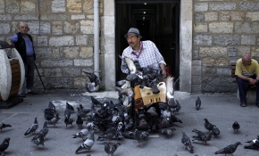 O Darülaceze'ye, güvercinler ona sığındı
