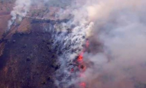 Kızıltepe eteklerinde örtü yangını