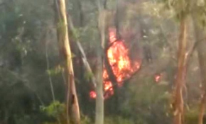 Muğla'daki orman yangınını söndürme çalışmaları sürüyor