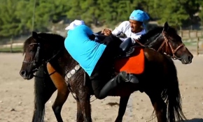 Ata sporu "gökbörü" Antalya'da yaşatılıyor