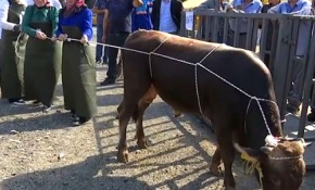 Üsküdar Belediyesi, "Rueff" yöntemiyle kesim tekniğini kadın kasaplara öğretti