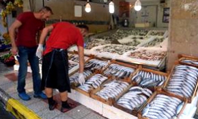 Karadeniz'de bir gecede 7 bin kasa palamut avlandı