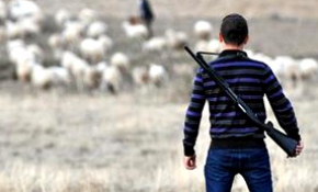 Köyde 'canavar nöbeti'