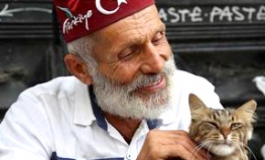 Güfteci Akova vefayı kedilerde buldu