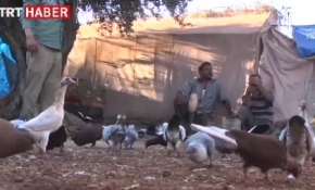 Çadır kentin "kuş bahçesi"