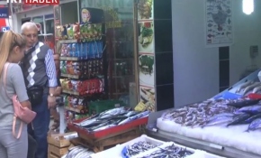 "Palamut bolluğu devam edecek"