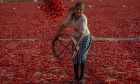 İsot için 'hummalı' hazırlık