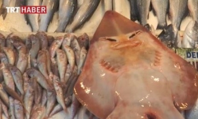 Balığın yüzü şaşırtıyor