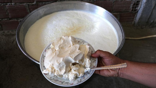 Prof. Dr. Karakan: Probiyotikler salgın hastalıklara kalkan