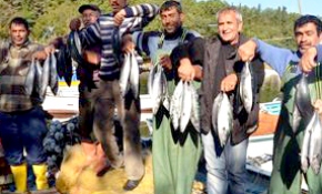 Palamut yüz güldürüyor