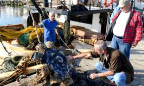 Balıkçı teknesinin ağlarına 'uçak pervanesi' takıldı