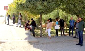 Diyarbakır'da DBP'li belediye vatandaşı mağdur etti