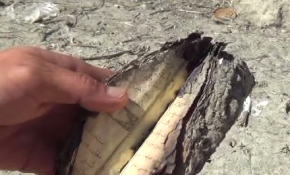 Isparta'da baraj yakınında G3 mermisi bulundu