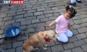 Dünya Hayvanları Koruma Günü