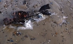 İşte çok konuşulan 'deniz kızı'