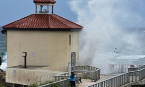 ABD'de 4 eyalette olağanüstü hal ilan edildi