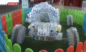 Pet şişelerden otomobil yaptılar