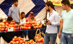 Ürdün'de 9. Nar Festivali