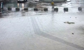 Vinç otomobilin üzerine devrildi