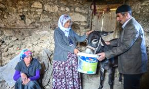 Çobanın otuz yıllık emeğini çaldılar