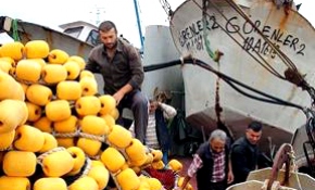 Hamsi kaçtı onlar kovaladı