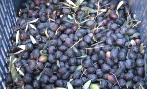 Lezzeti "Keramet"inde