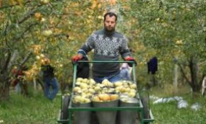 Suriyeli çocuklar tadını bilmedikleri meyveler yiyebilecek