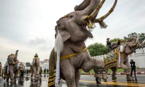 Kraliyet filleri ile geçit töreni düzenlendi