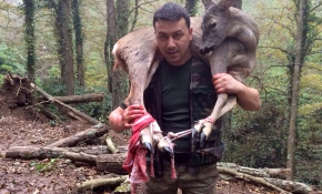 Karaca, tüm çabalara rağmen kurtarılamadı