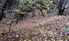 Kazdağları'na sonbahar ilgisi