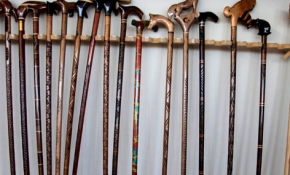 Boynuz ve ağacın sanat yolculuğu