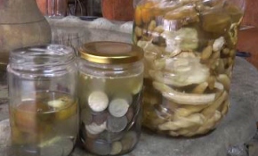 Paralarıyla 'turşu' kurdu