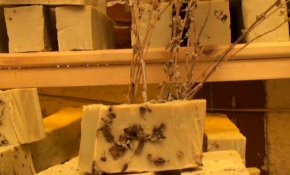 Bitkilerden aromatik sabunlara