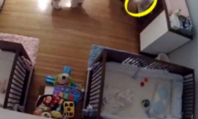 Saniyelerle hayatta kaldı