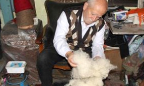 "Diriliş Ertuğrul"un başlıklarını Yeni Zelanda yünüyle yapıyor