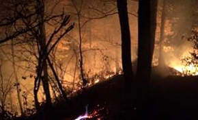 Perşembe ilçesindeki yangında, yaklaşık 10 dönüm alan zarar gördü