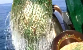 "Ekmek teknesi" sözü onlarla anlam buluyor