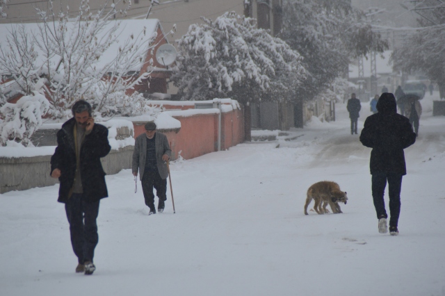 Ağrı`da kar yağışı