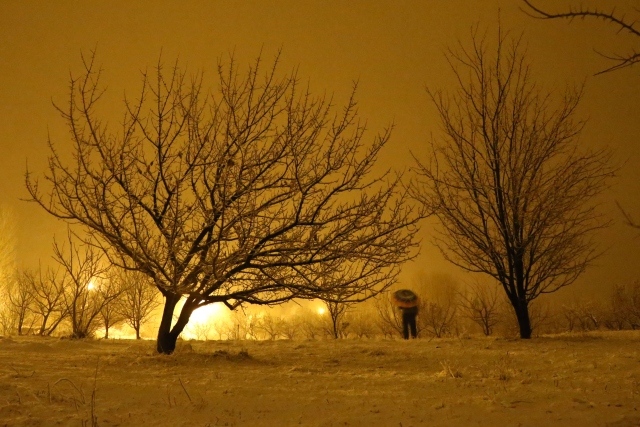 Van`da kar yağışı